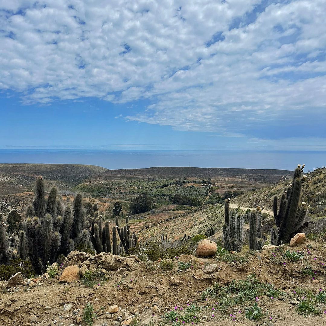 Parcelas en venta en Ovalle 5