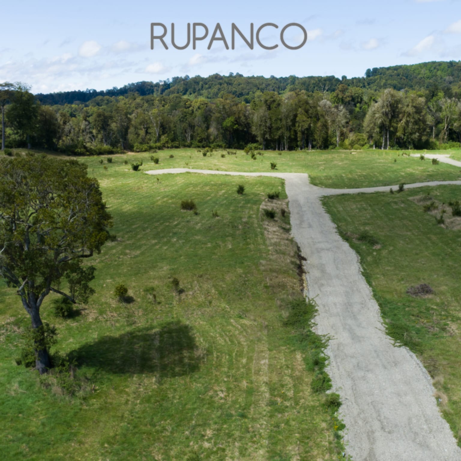 Parcelas en venta Vive Rupanco 4