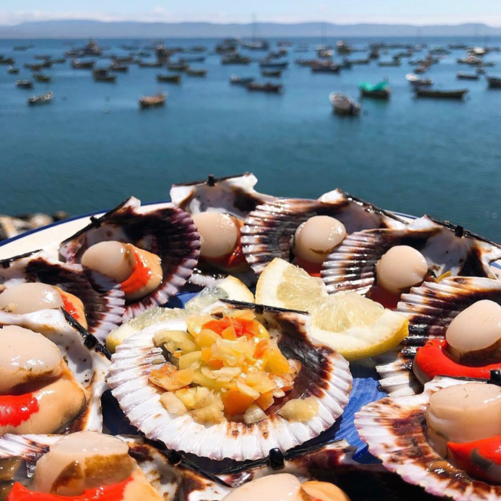 Parcelas en venta en Ovalle 10