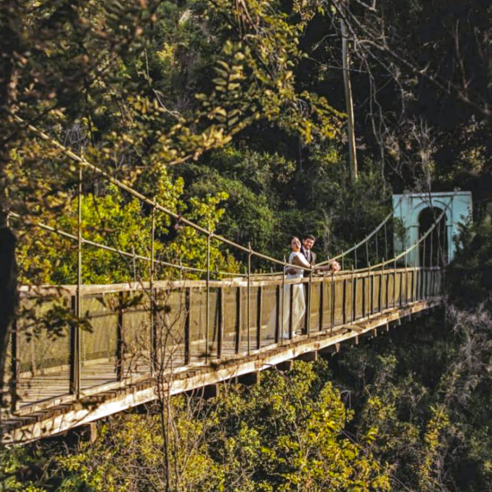 Parcelas en venta en Viñas de Cauquenes 9