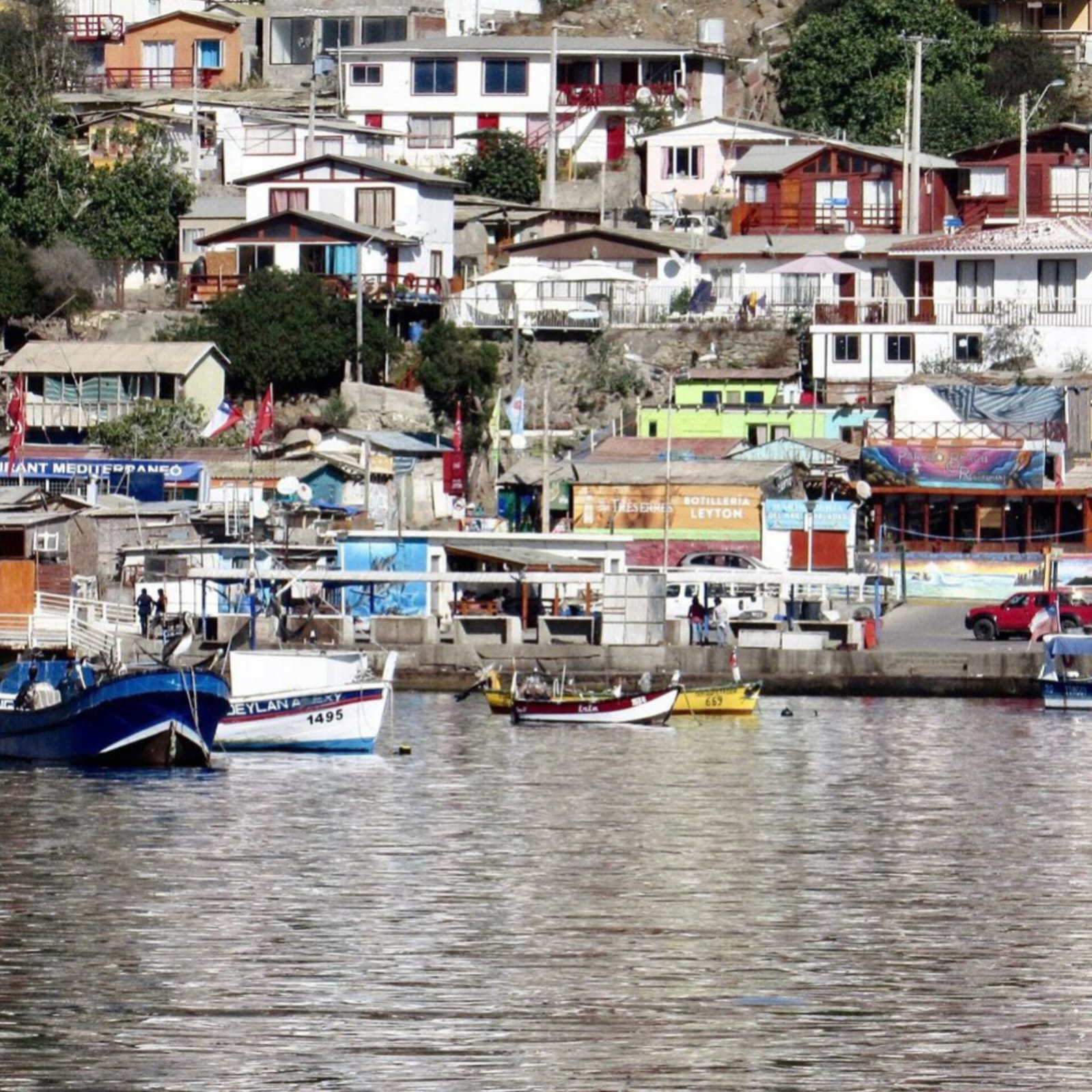 Parcelas en venta en Ovalle 11