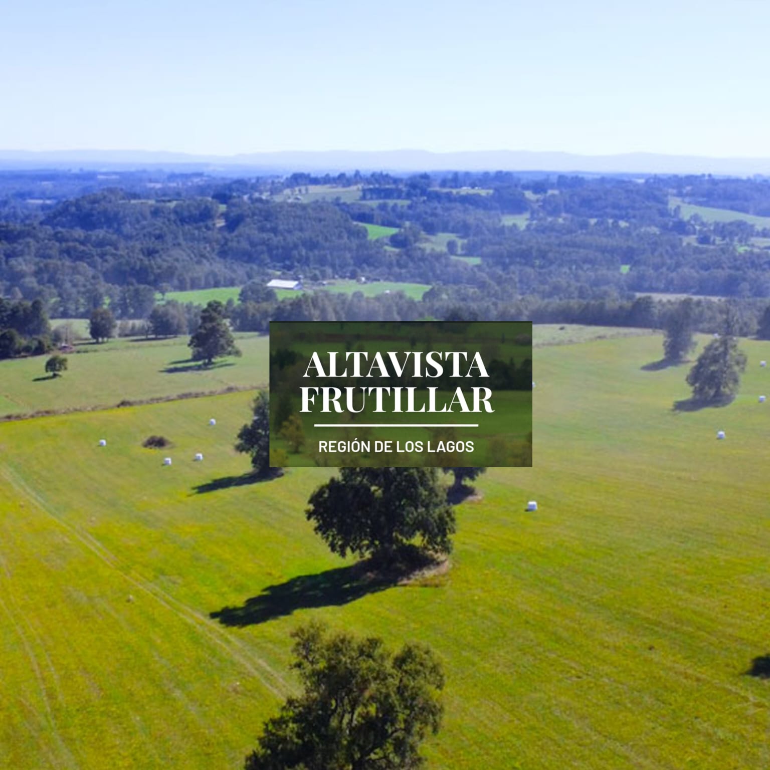 Parcelas en venta en Alto Frutillar 3