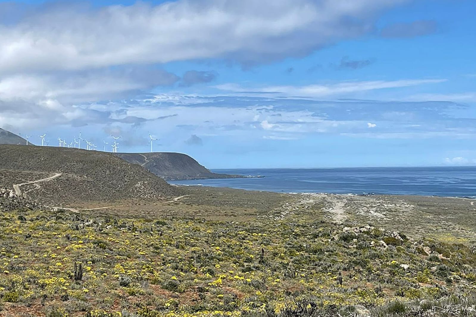 Parcelas en venta en Ovalle 13