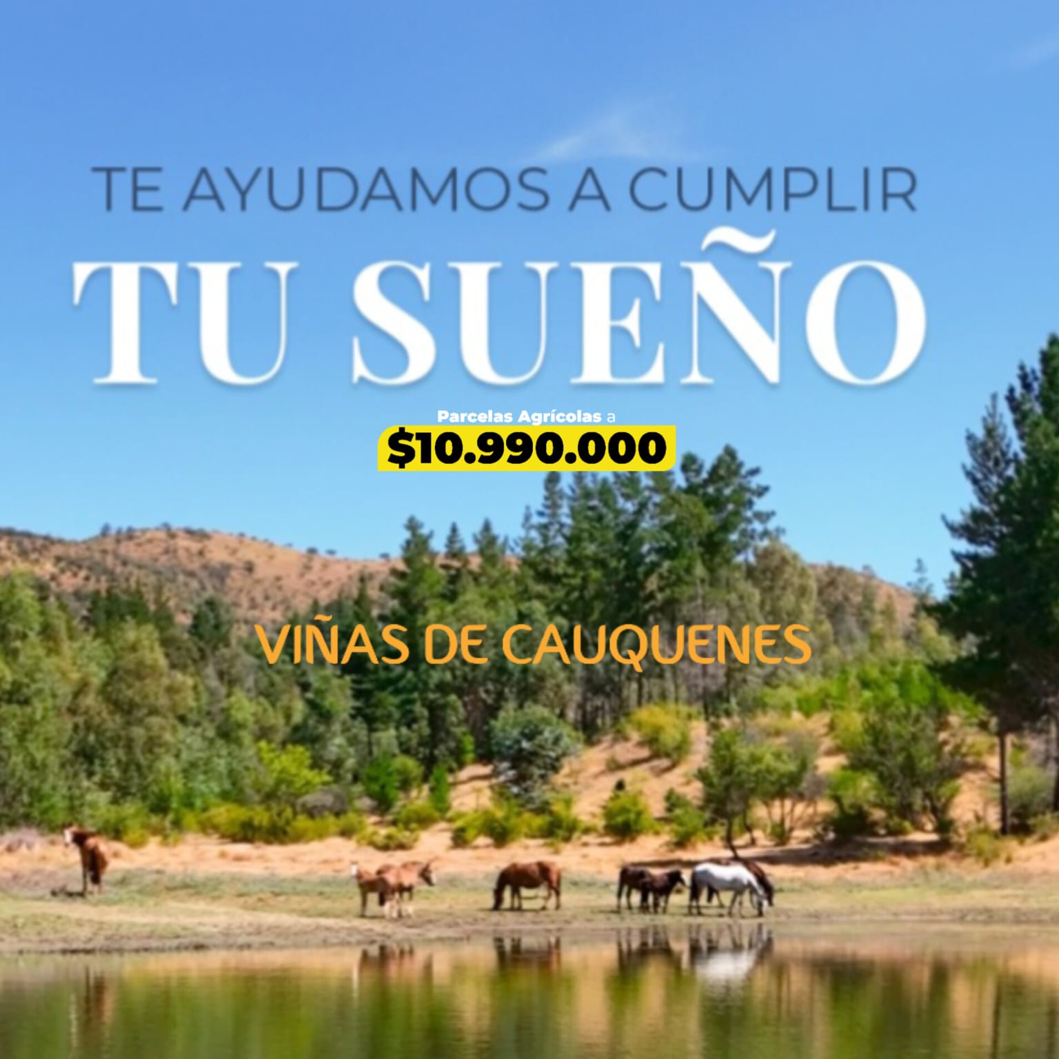 Parcelas en venta en Viñas de Cauquenes 6