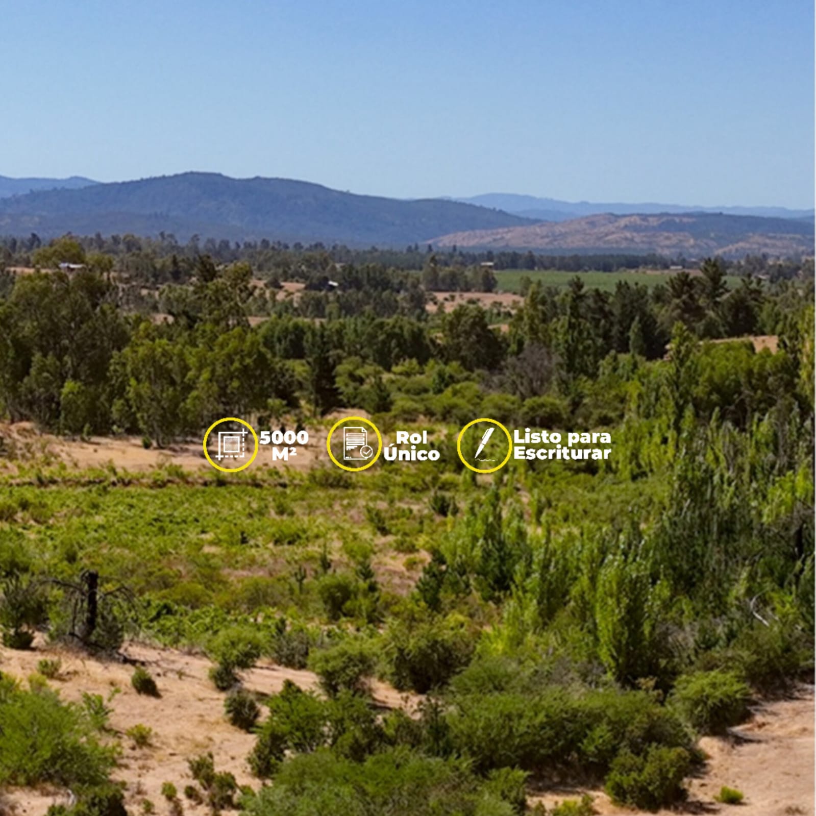 Parcelas en venta en Viñas de Cauquenes 1