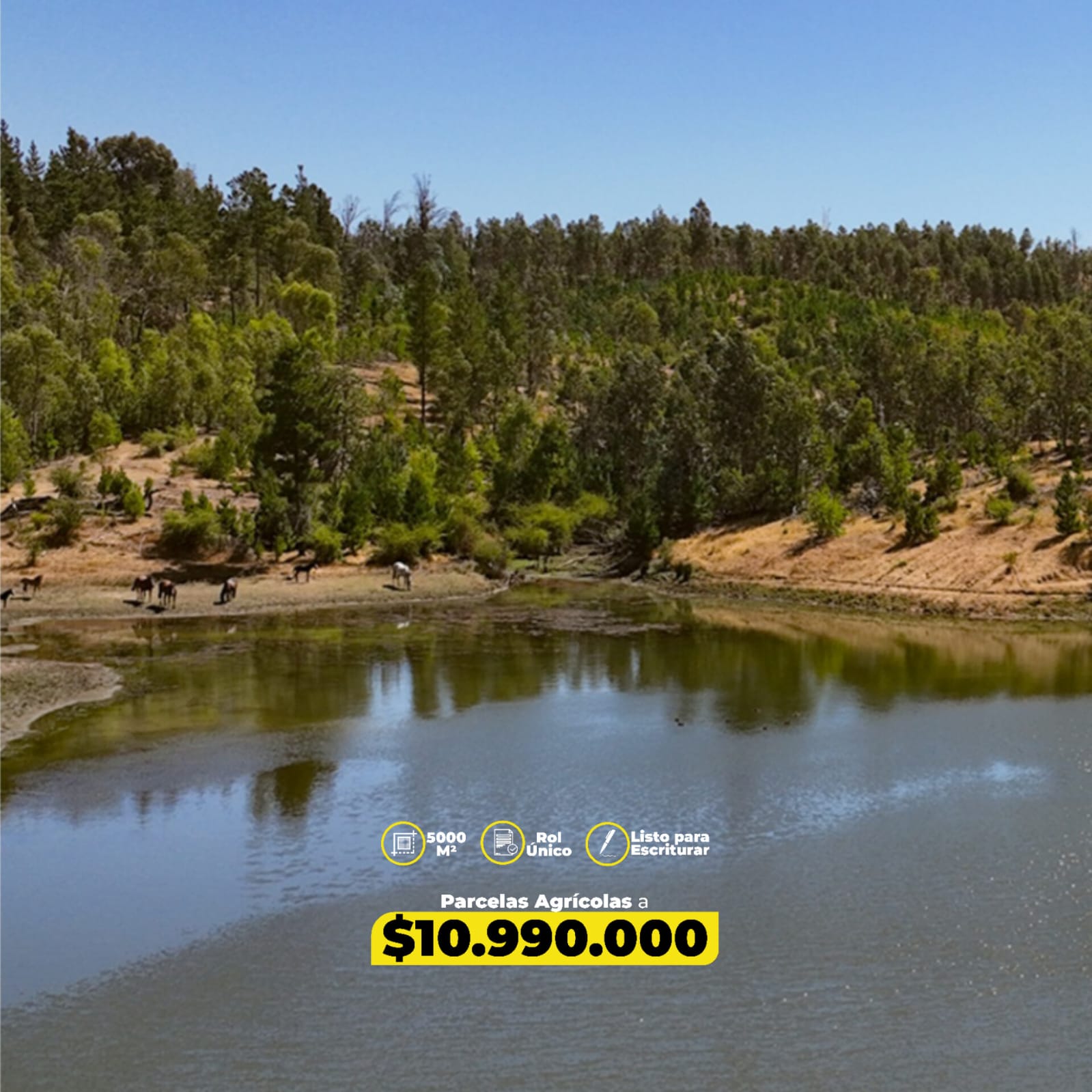 Parcelas en venta en Viñas de Cauquenes 2