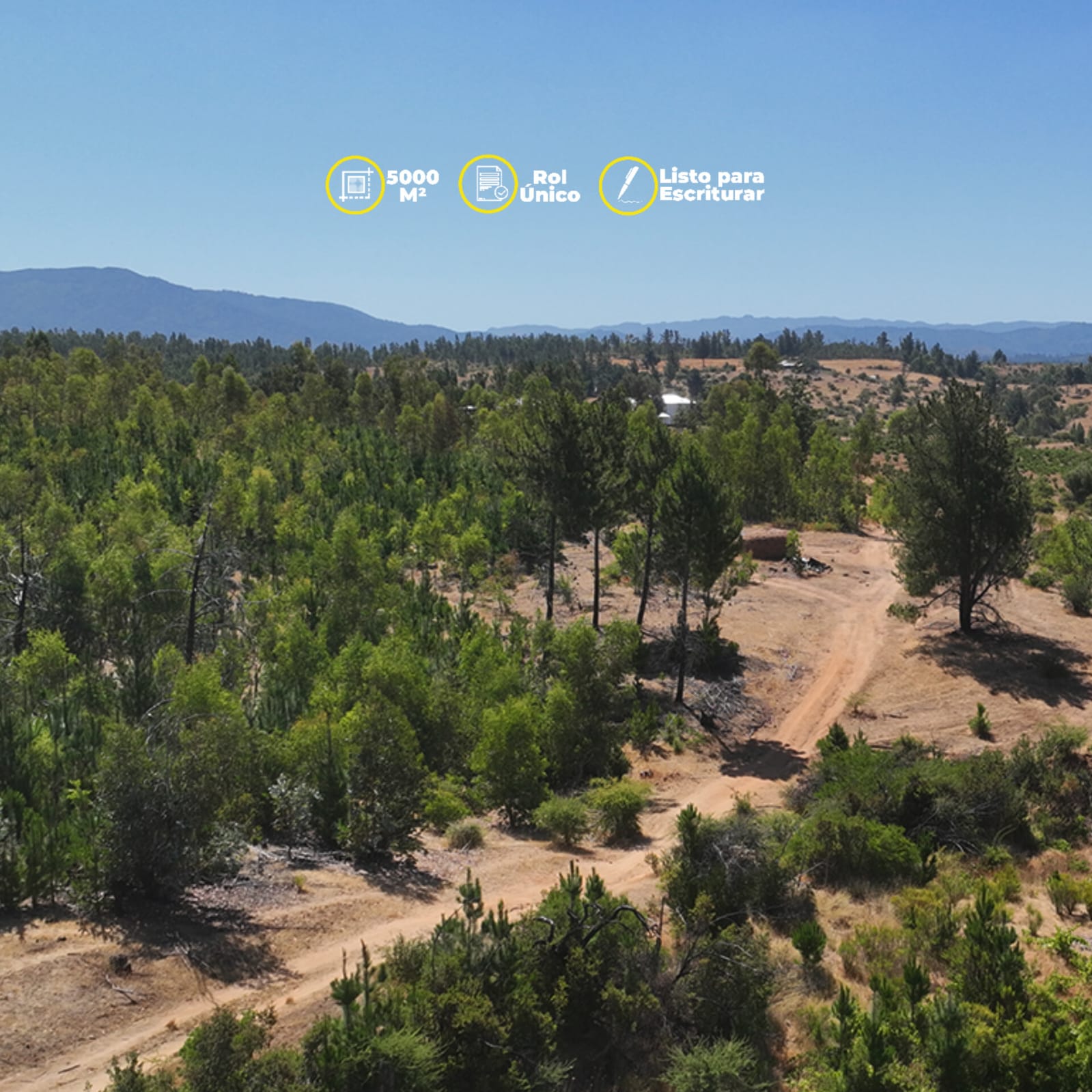 Parcelas en venta en Viñas de Cauquenes 3