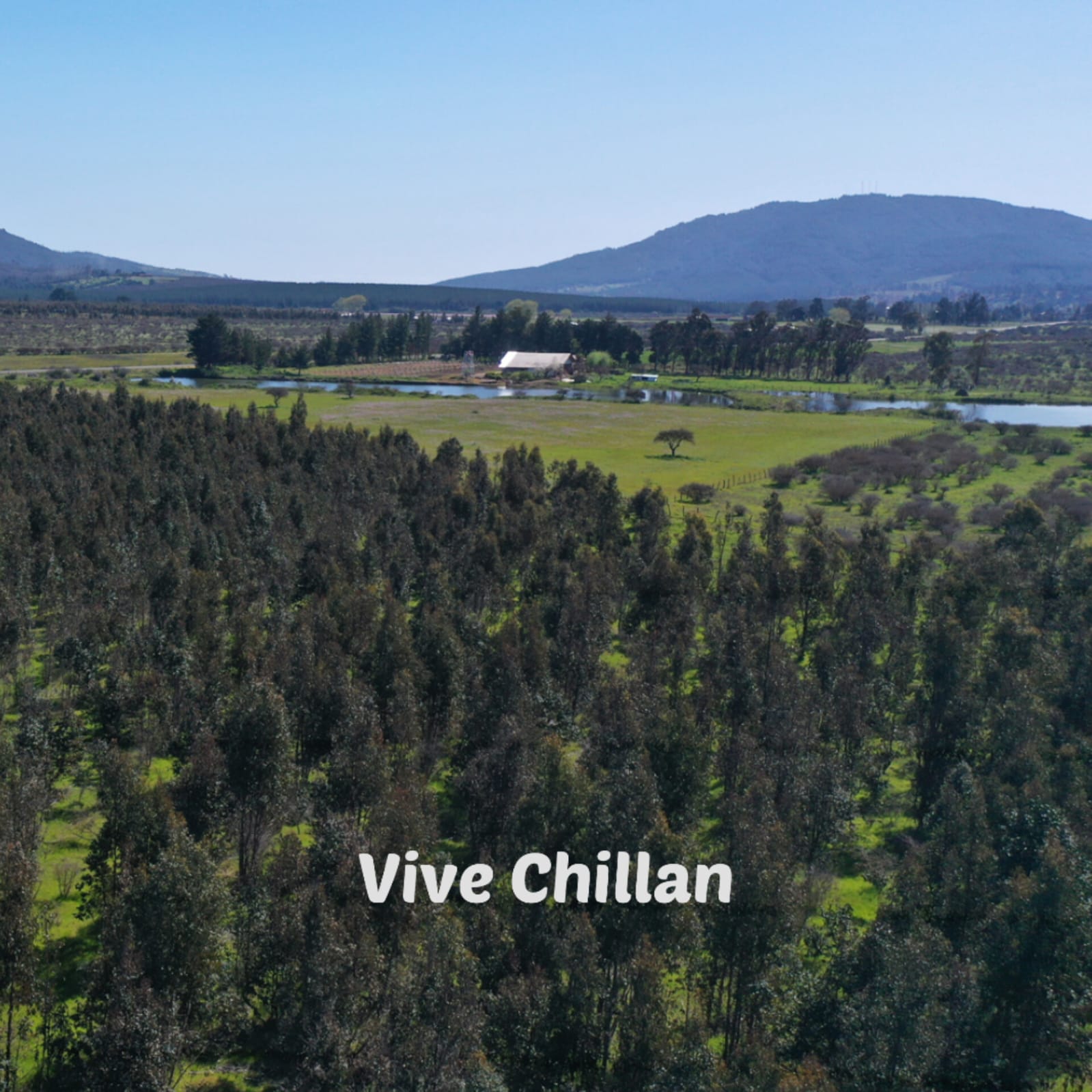 Parcelas en venta en Vive Chillan