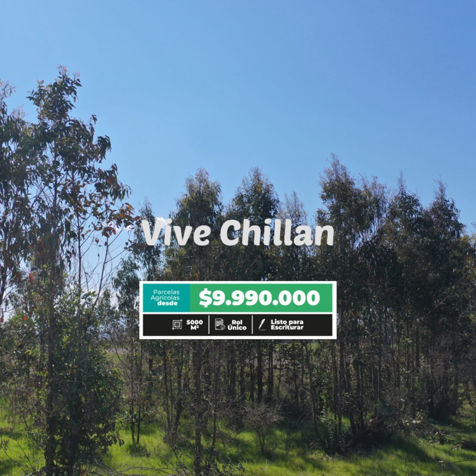 Parcelas en venta en Vive Chillan